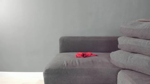 alexa_allan  23-01-2023